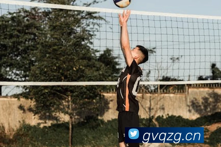 九游j9官方登录品牌故事